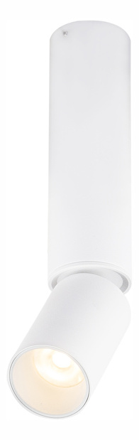 Podhledové svítidlo Luwin 55001-8 (bílá)