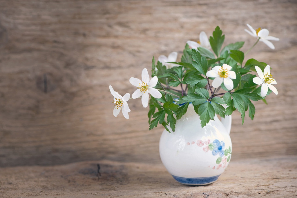 Foto: © pixabay.com