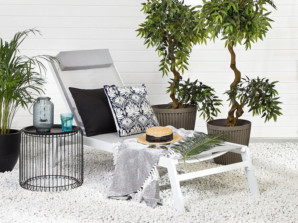 picid_741367_x_1000_type_color_image