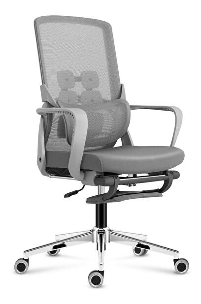 Kancelářská židle Matryx 3.6 (šedá)