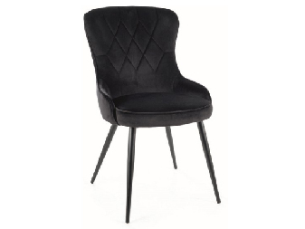 Jídelní židle Lloyd (černá + černá)
