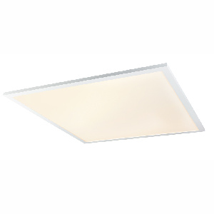 Stropní/nástěnné svítidlo LED Rosi 41604D6F (bílá + opál) (Stmívatelné)