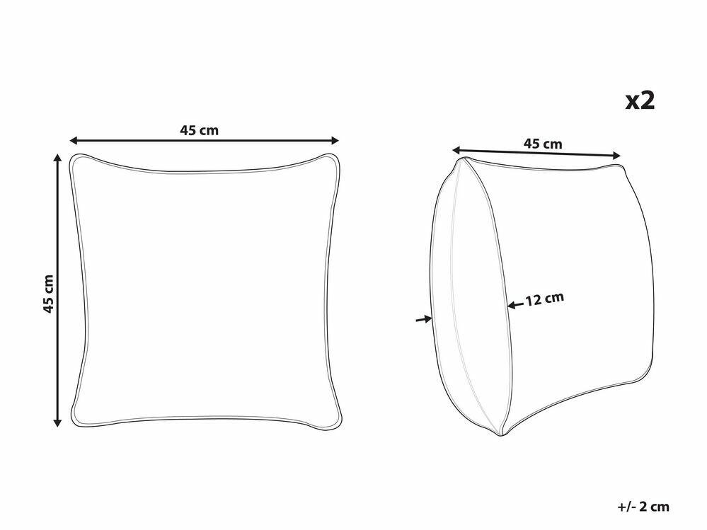 Sada 2 ozdobných polštářů 45 x 45 cm Guzma (béžová)