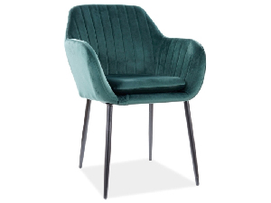 Jídelní židle Wade (zelená + černá)