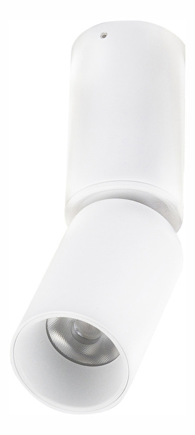 Podhledové svítidlo Luwin 55000-8 (bílá)