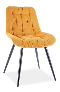 Jídelní židle Parry (žlutá + černá)