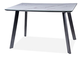 Jídelní stůl 120 cm Sherly (černá) (pro 4 osoby)