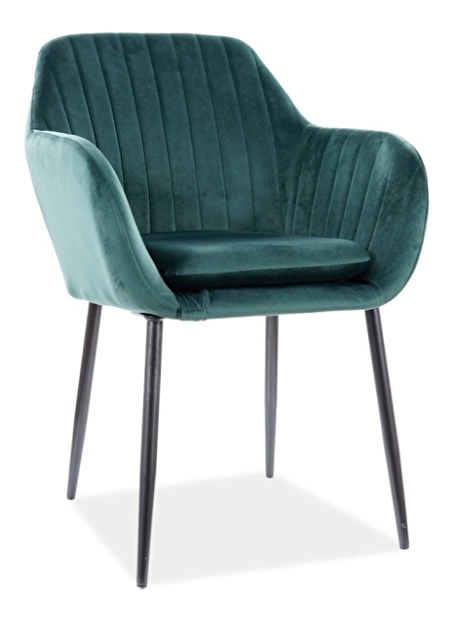 Jídelní židle Wade (zelená + černá)
