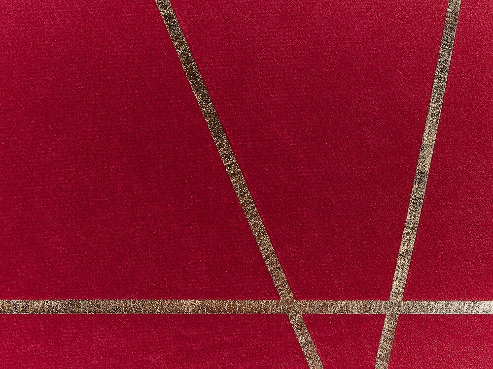 Sada 2 ozdobných polštářů 45 x 45 cm Pinnie (červená)