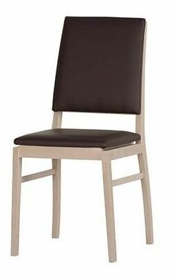 Jídelní židle Desjo 101 koženka