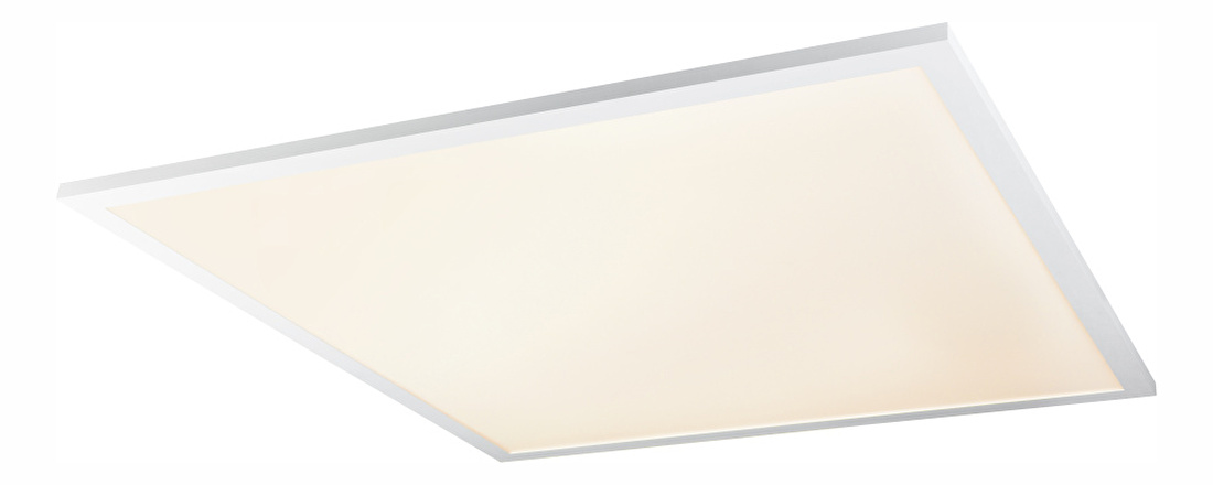 Stropní/nástěnné svítidlo LED Rosi 41604D6RGB (bílá + opál) (Stmívatelné)