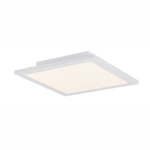 Stropní/nástěnné svítidlo LED Rosi 41604D1D (bílá + opál)