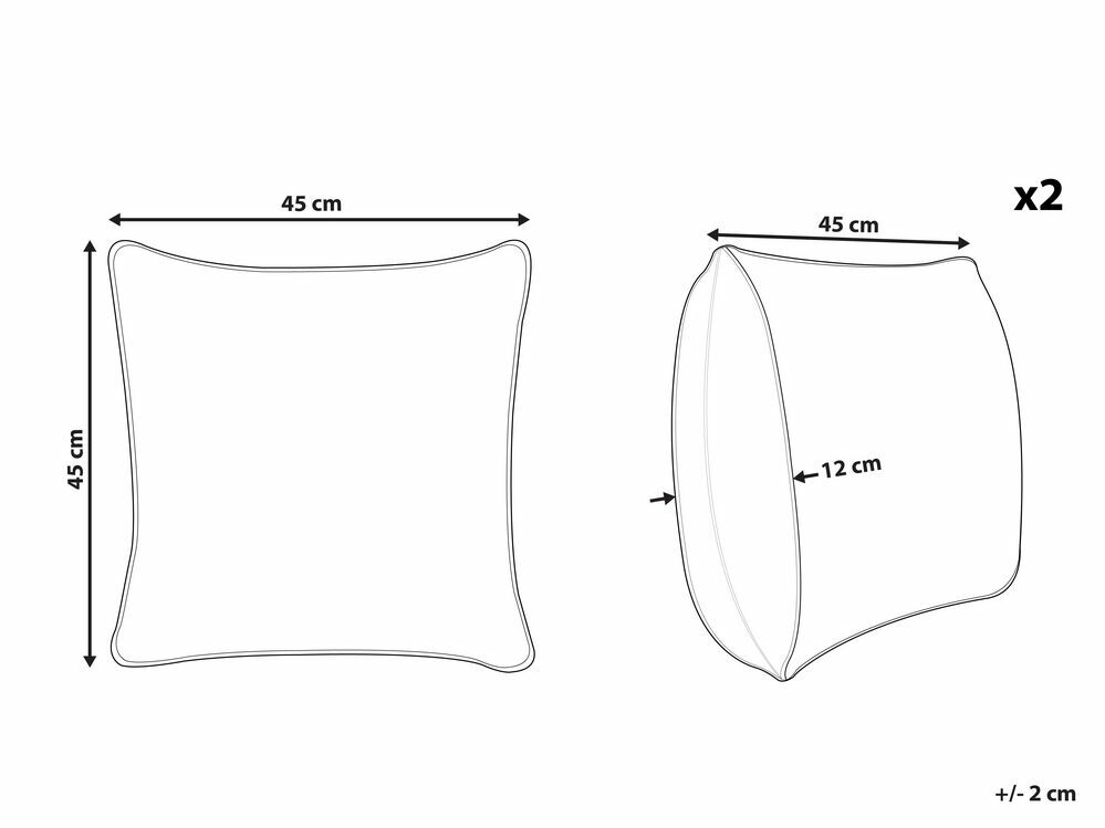 Sada 2 ozdobných polštářů 45 x 45 cm Ramty (černá)
