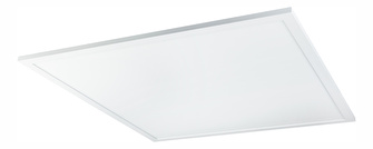 Stropní/nástěnné svítidlo LED Rosi 41604D6 (bílá + opál)