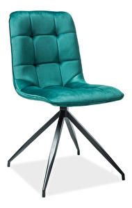 Jídelní židle Terra (zelená)