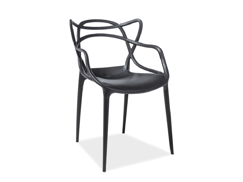 Jídelní židle Thomas (černá + černá)