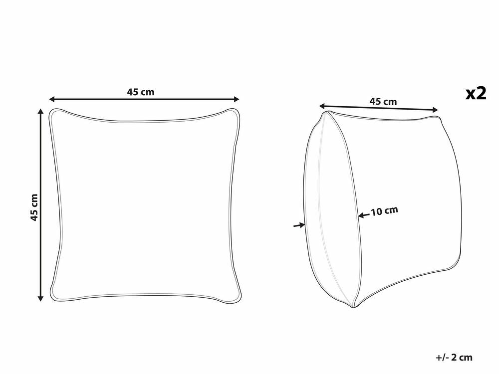 Sada 2 ozdobných polštářů 45 x 45 cm Glab (šedá)