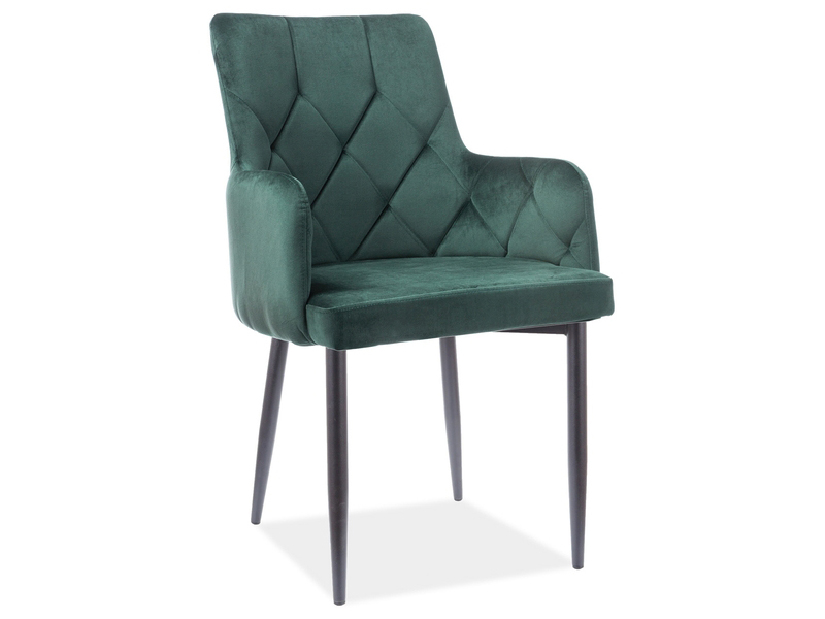 Jídelní židle Raymundo (zelená + zelená)