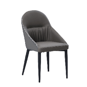 Jídelní židle Saflor (šedá + kov)