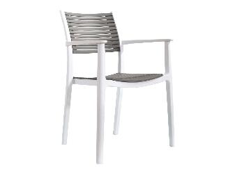 Jídelní židle HERMA (bílá + šedá)