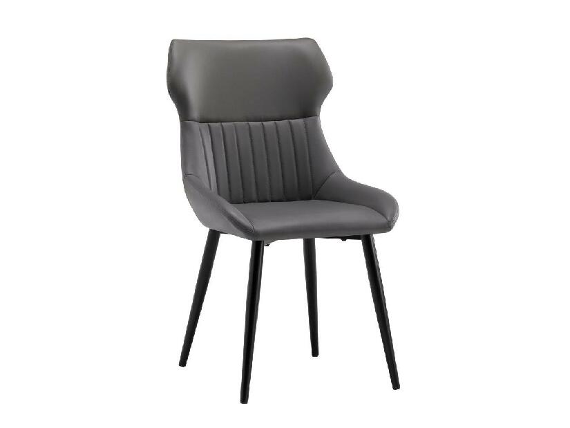 Jídelní židle SAGANA (tmavě šedá + černá)