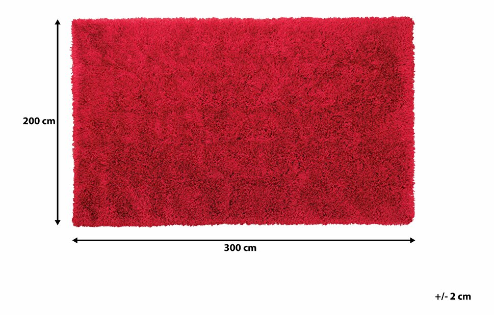 Koberec 300 cm Caiguna (červená)