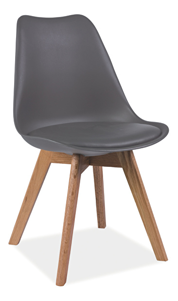 Jídelní židle Aste (šedá + dub)