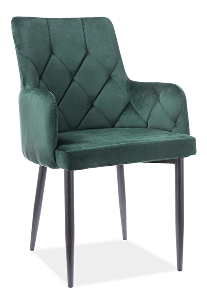 Jídelní židle Raymundo (zelená + zelená)