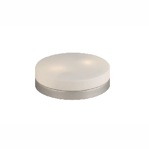 Stropní/nástěnné svítidlo Opal 48402 (nikl + opál)