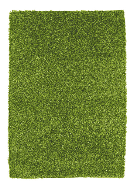 Ručně vázaný koberec Bakero Damru Fluorescent green 218