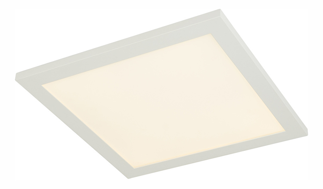 Stropní/nástěnné svítidlo LED Rosi 41604D1 (bílá + opál)
