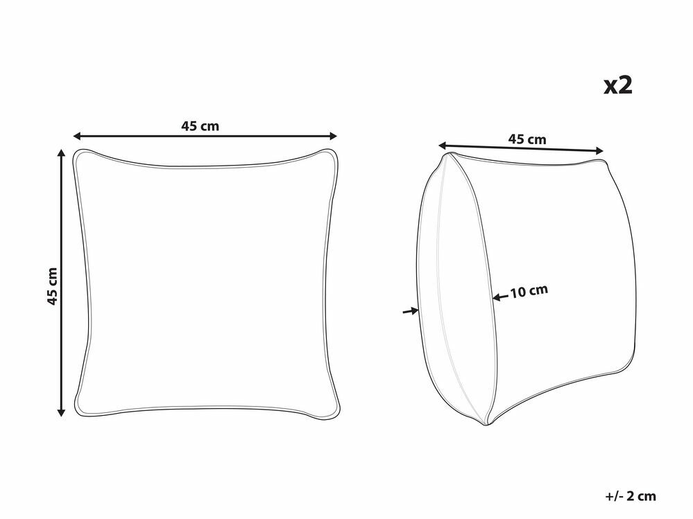 Sada 2 ozdobných polštářů 45 x 45 cm Vioz (bílá)