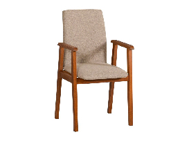 Jídelní židle Founi