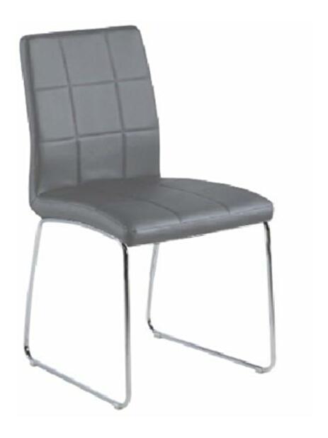 Jídelní židle Sida (šedá)