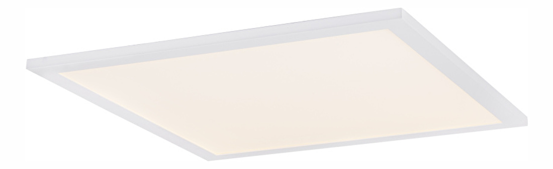 Stropní/nástěnné svítidlo LED Rosi 41604D2D (bílá + opál)