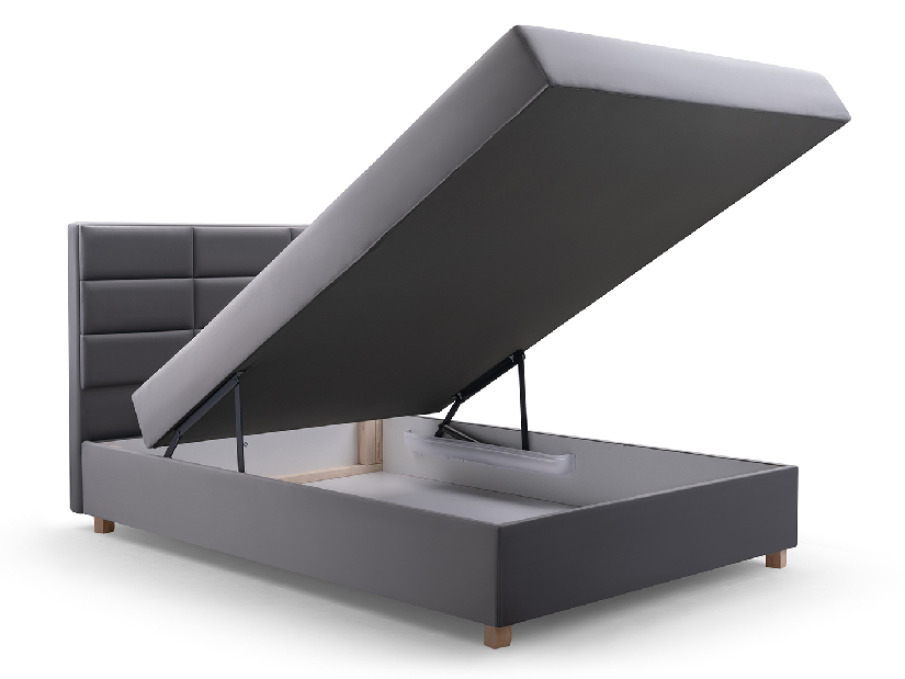 Jednolůžková postel 120 cm Picasso II (šedá) (s úl. prostorem a matrací) *výprodej