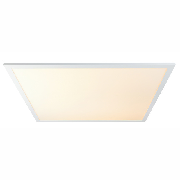 Stropní/nástěnné svítidlo LED Rosi 41604D6 (bílá + opál)