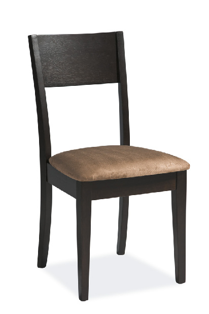 Jídelní židle C-210