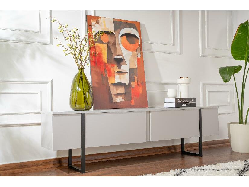 TV stolek/skříňka Seronitta (šedá + černá)