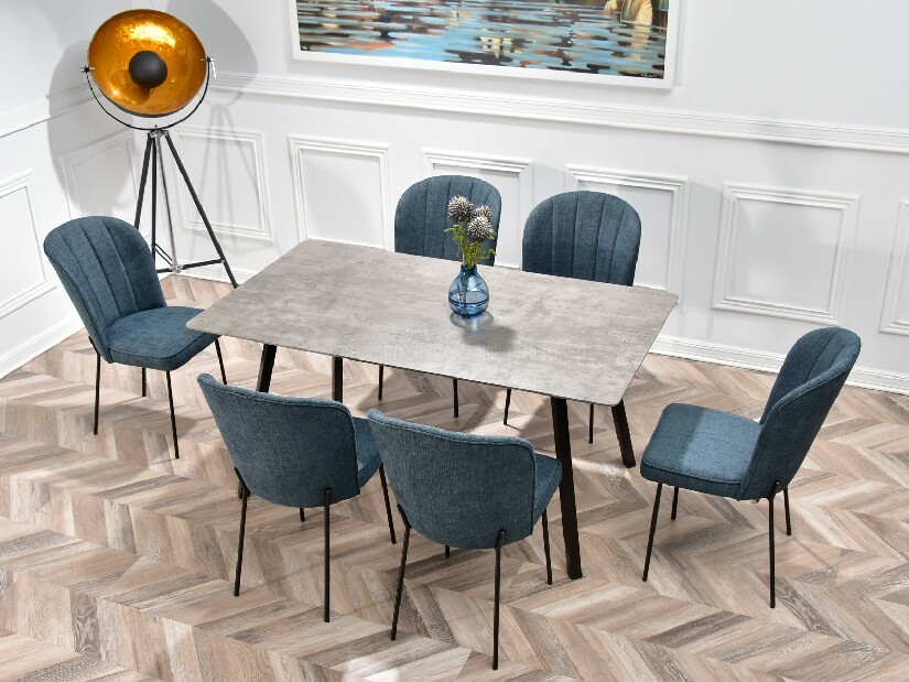 Jídelní židle Obrar (šedá + černá)