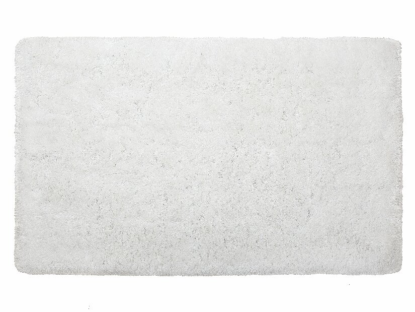 Koberec 300 cm Caiguna (bílá)