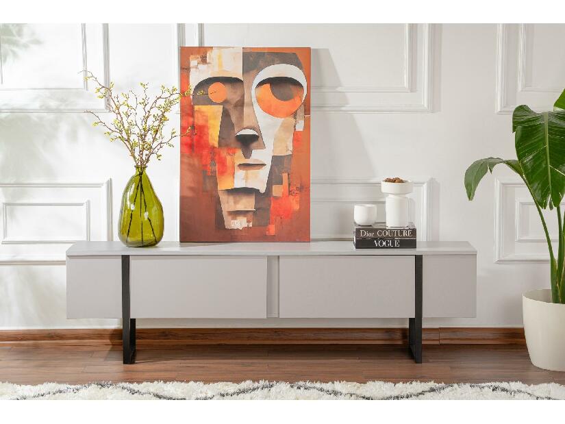 TV stolek/skříňka Seronitta (šedá + černá)