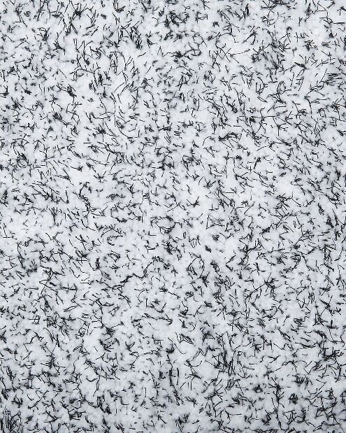 Koberec 200 cm Damte (šedá)