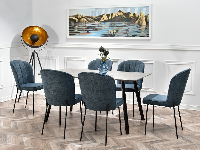 Jídelní židle Obrar (šedá + zlatá)