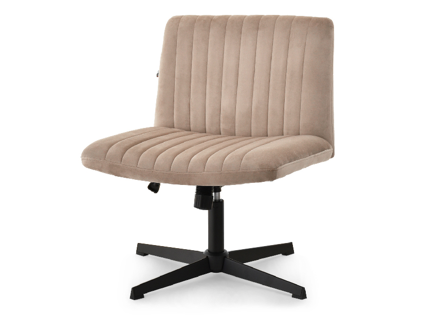 Židle Loise (béžová + černá)