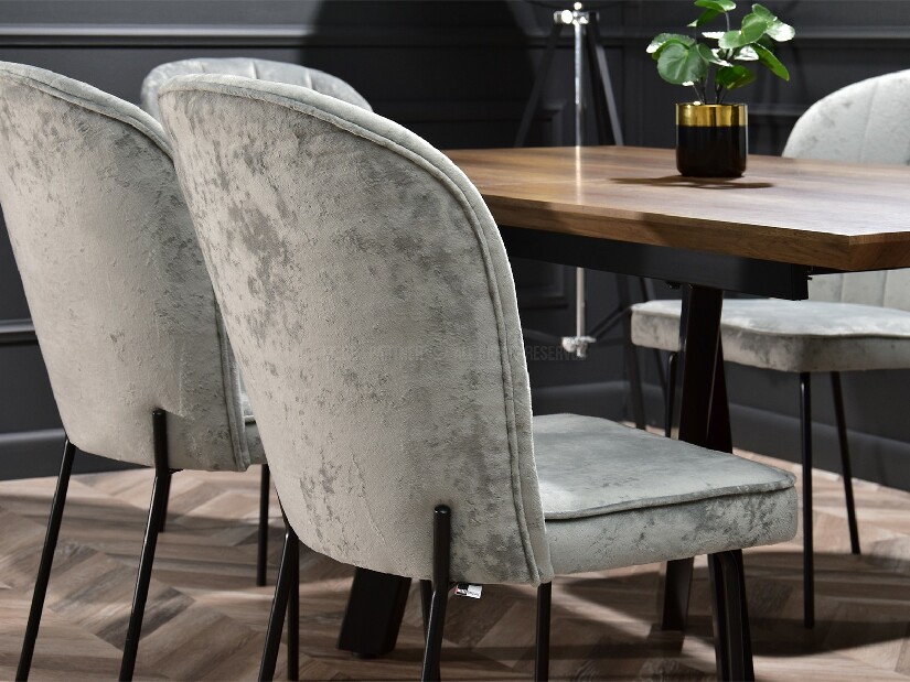 Jídelní židle Obrar (šedá + černá)