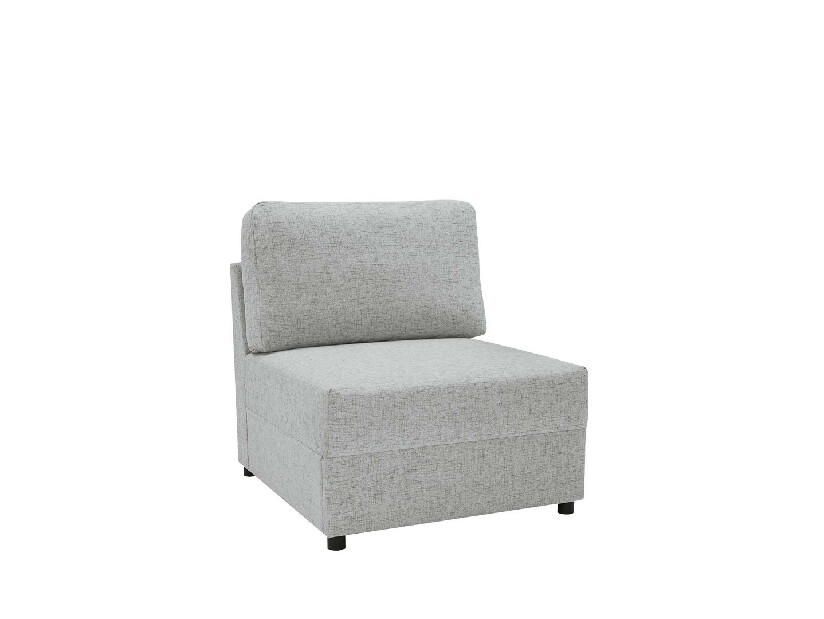 Křeslo bez boků BRW Liam 1S (šedá)